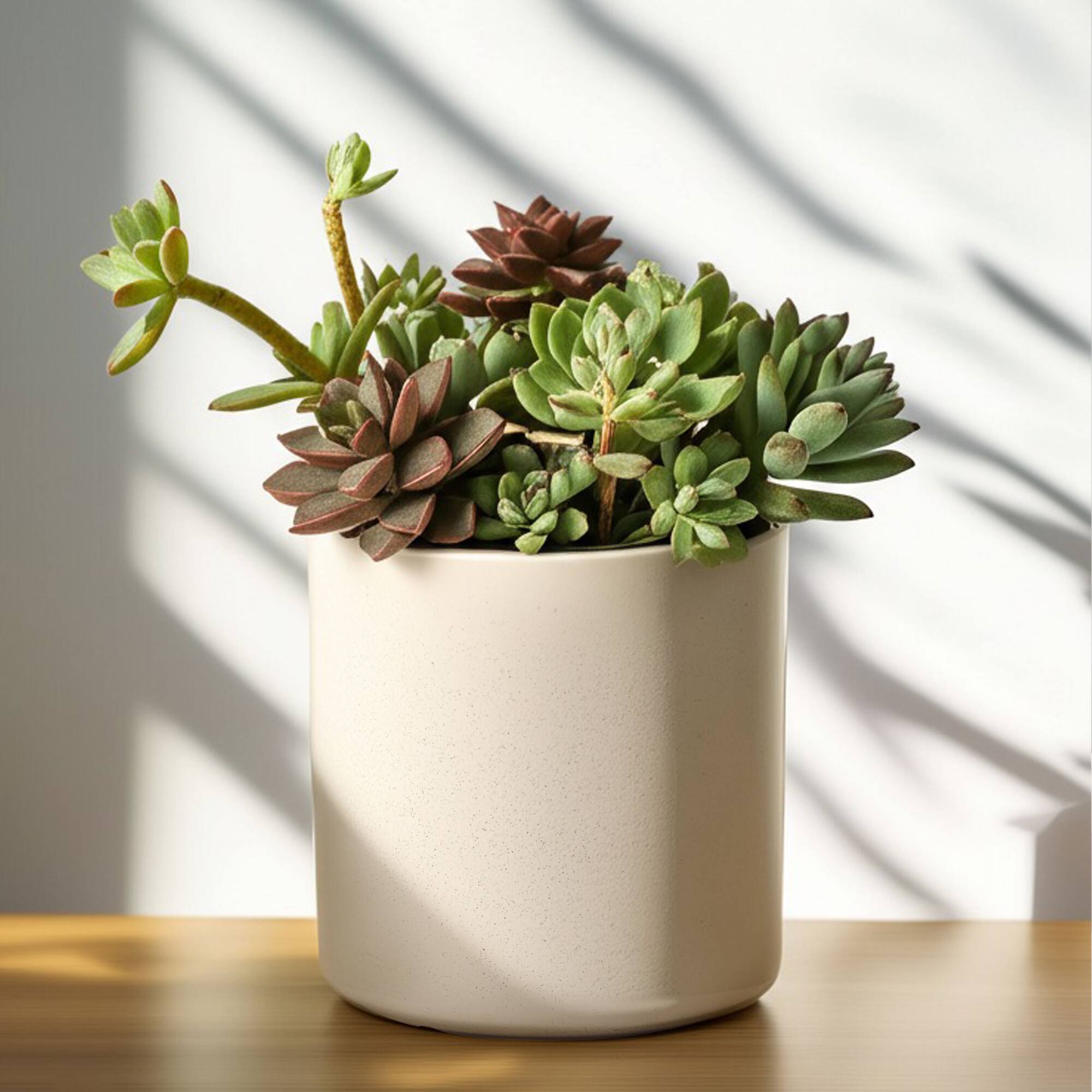 8" Cream Speckled Ceramic Pot by Ashland®